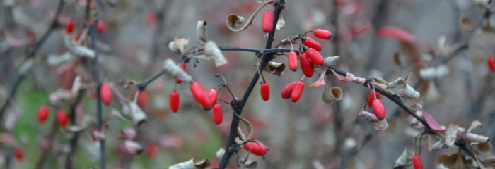 Siltā rudens noslēgums