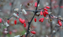 Siltā rudens noslēgums