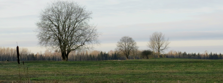 Silts decembra sākums