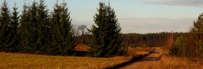 Siltuma turpinājums