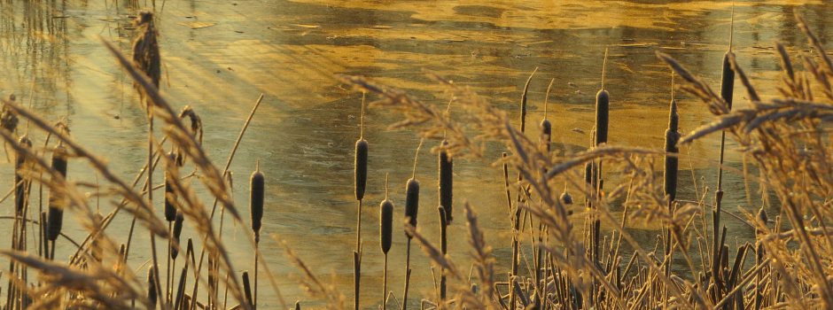 No siltuma līdz salam