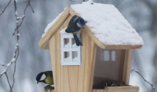 Ziemassvētku sniedziņš