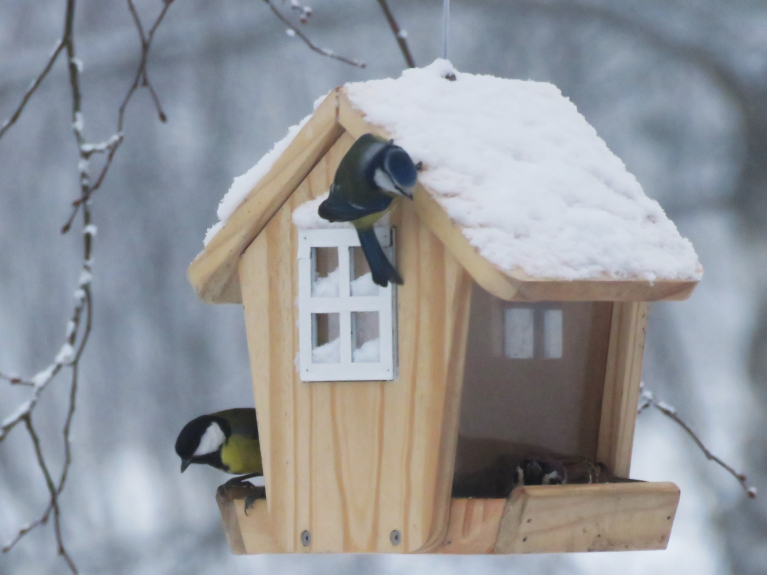  Ap 16.00 uz zemes 2 cm viegla pūkaina sniedziņa. Turpina snigt. Visiem jaukus svētkus!