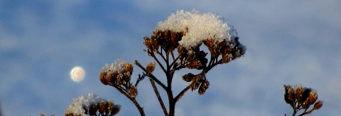Pie durvīm klauvē ziema