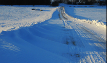 No sniegvilkšņa uz spelgoni.