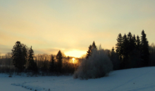 Mainīgais februāris