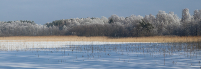 Vēl viena auksta nedēļa