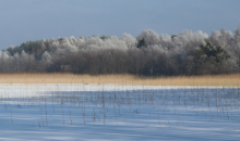 Vēl viena auksta nedēļa