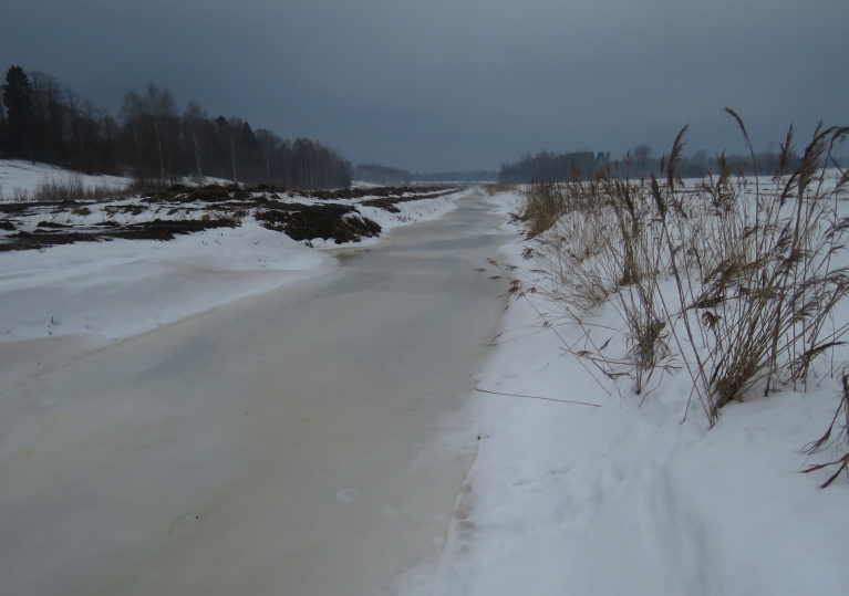 1. marts, upīte ledū.