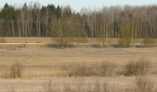 Mērens marta turpinājums