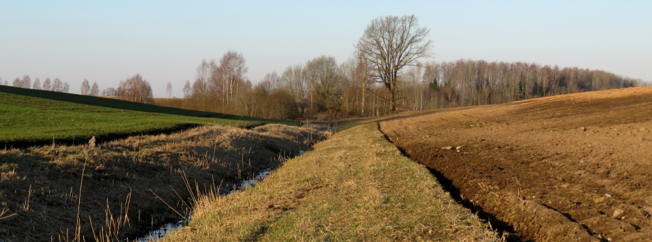 Pēc sniega nāks saule