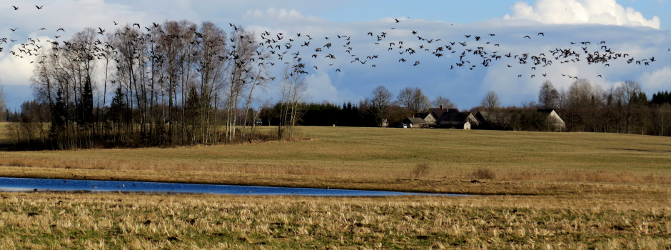 Nedēļas nogale būs vēsa