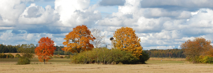 Rudens siltums un dzestrums