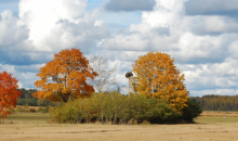 Rudens siltums un dzestrums